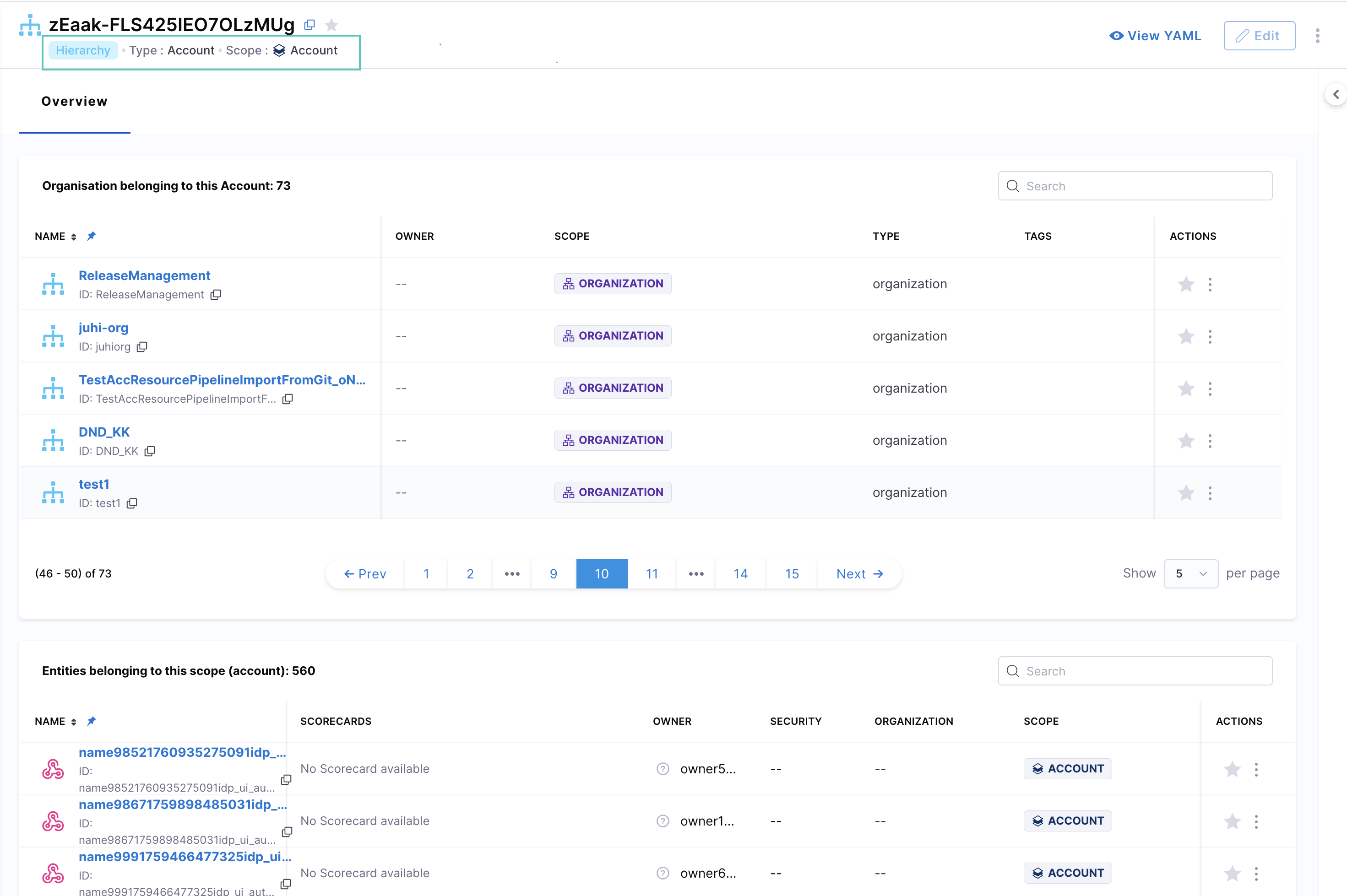 Click to view full size image Account Level Entity