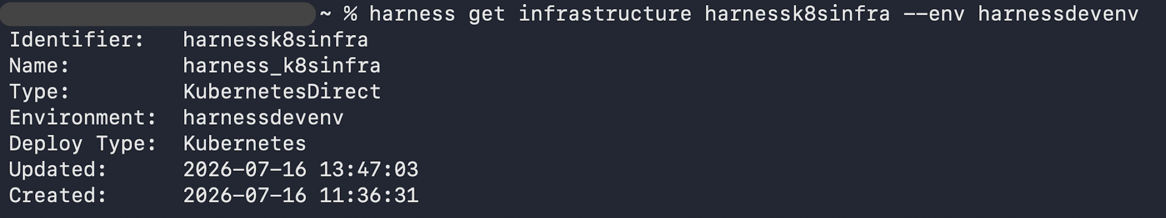 Output of harness get infrastructure showing identifier, name, type, environment, deploy type, updated, and created fields