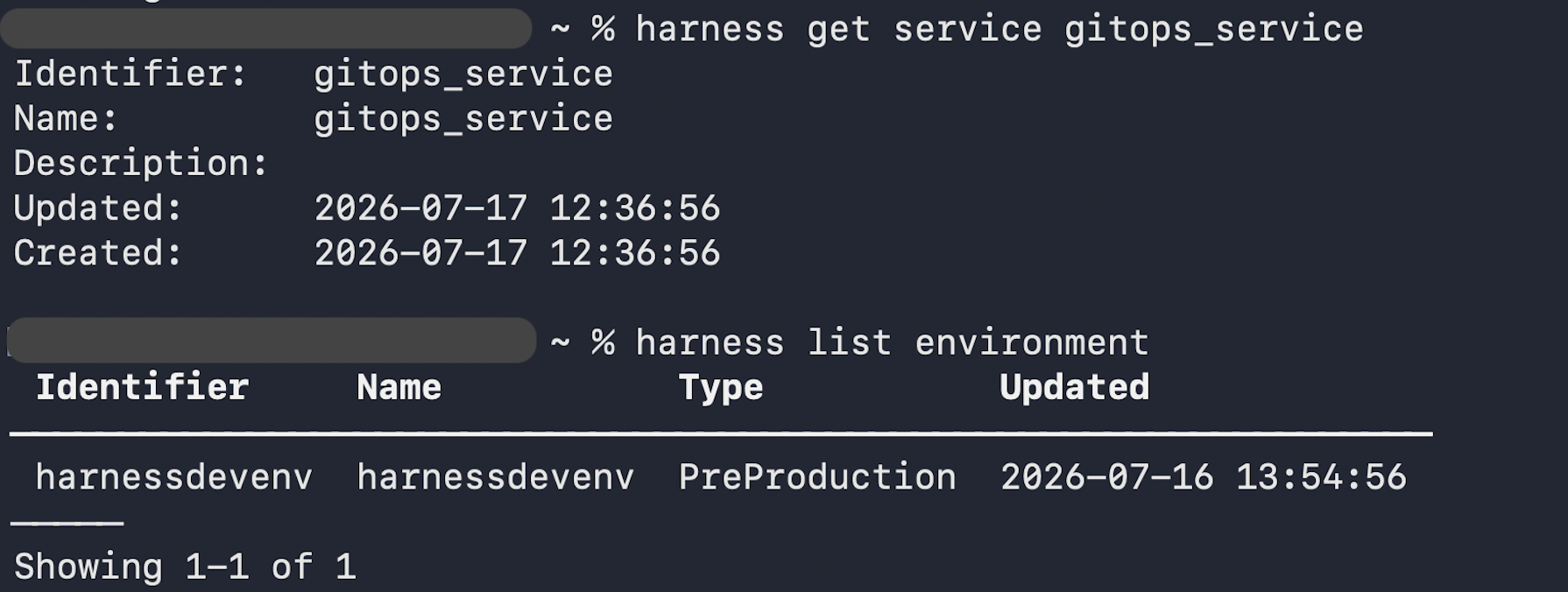 Output of harness get service and harness list environment showing environment identifier, name, type, and updated columns