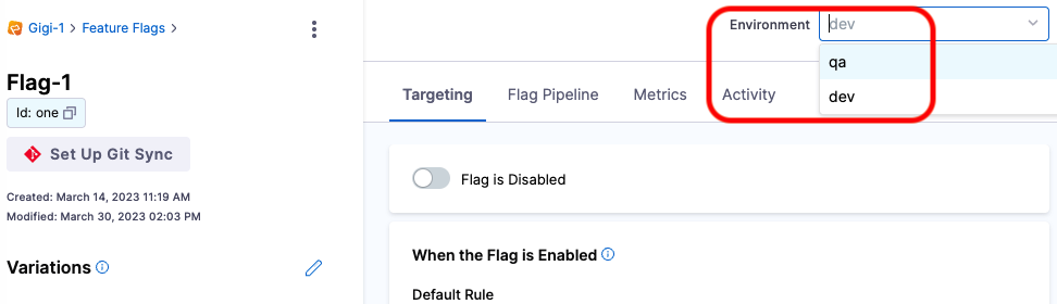 Flag details page with Environment selected